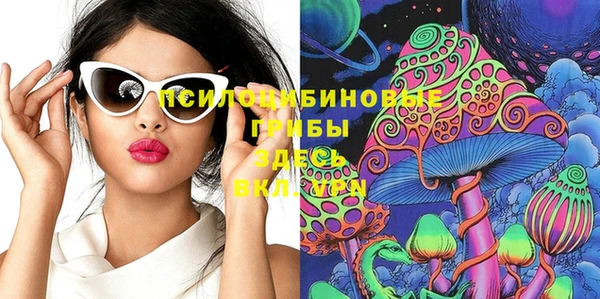 2c-b Богородицк