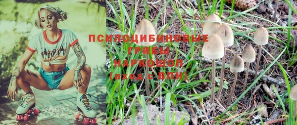 2c-b Богородицк