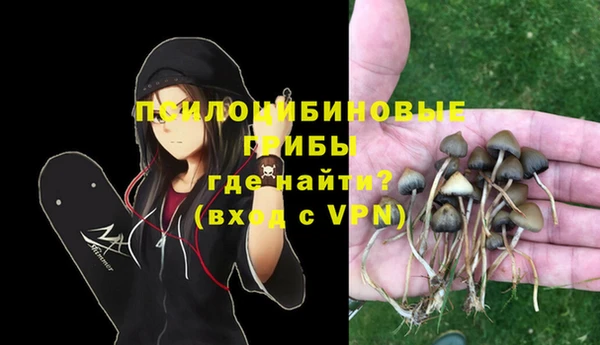 2c-b Богородицк